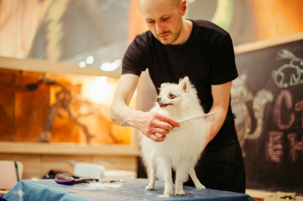 featured image for starting a pet grooming business featuring man brushing dog hair