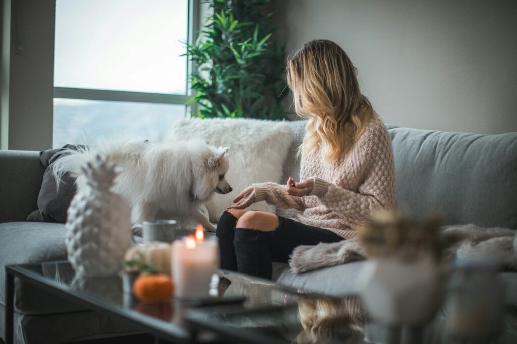 featured image for how do i start a dog grooming businessfeaturing woman sitting on sofa while holding food for dog