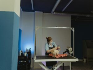 image for pet grooming table featuring Woman Wearing Facial Mask and Black Apron Grooming a Dog on a Table